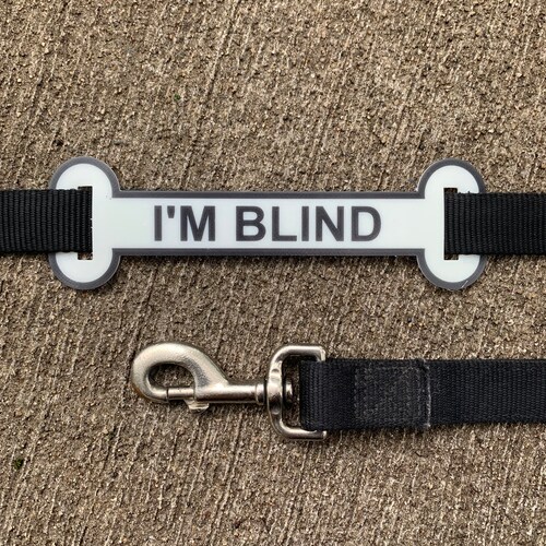 im blind dog harness