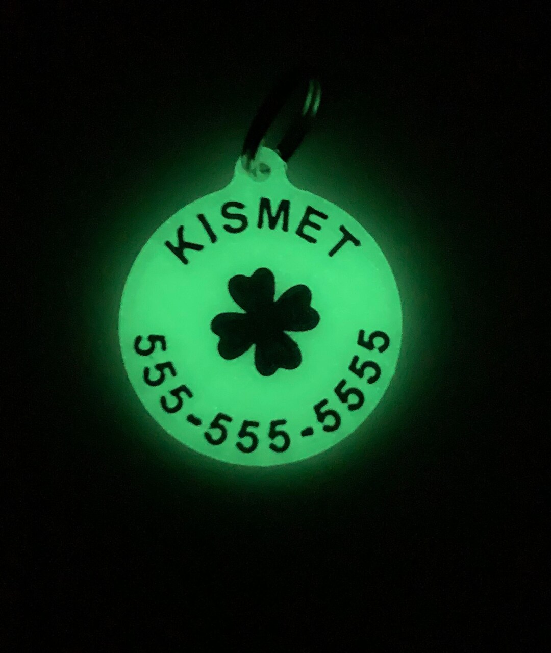Glow in the Dark Dog Tag, Custom Dog Tag, Shamrock Dog Tag, 3D Printed