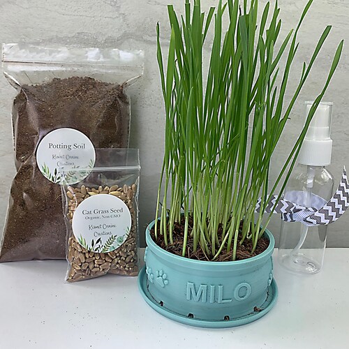 Cat Grass Kit, Cat Enrichment, Cat Grass Planter, Personalized Cat Planter, Cat Lover Box, Cat Lover Gift, Cat Gift