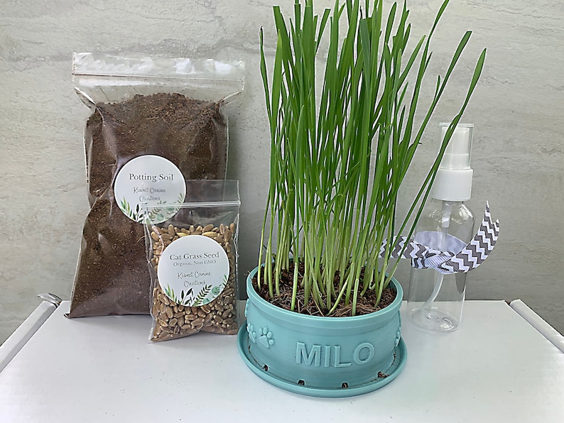Peut inclure: Un kit de culture d'herbe &agrave; chat avec un pot bleu &eacute;tiquet&eacute; "MILO", un sac de terreau, un sac de graines d'herbe &agrave; chat et un vaporisateur transparent avec un ruban gris et blanc.