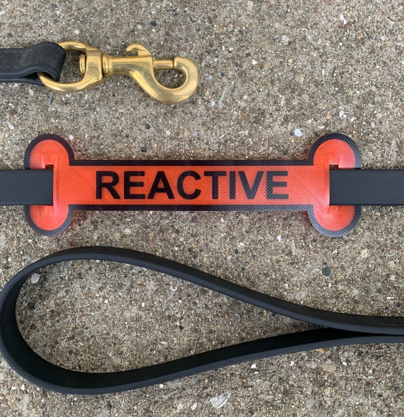 Reactive Leash Sleeve, Leash Wrap, Personalized Dog Harness Sleeve, Dog ...
