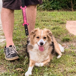 May include: A brown and white dog with a pink bone-shaped leash that says "KISMET" on it. The dog is sitting on the grass and looking at the camera.