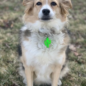 Cactus Dog Tag, Cactus Charm, Boho Dog Tag, 3D Printed Dog Tag, Pet Accessories, Dog Gift, Dog Owner Gift, Cat Gift, Cat Owner Gift image 4
