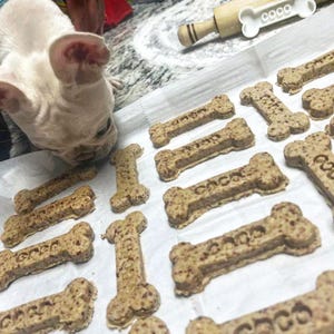 May include: Bone-shaped dog treats with the word "coco" imprinted on them are arranged on a white surface. A white and tan French Bulldog is looking down at the treats. A wooden rolling pin with a bone-shaped handle is in the background.