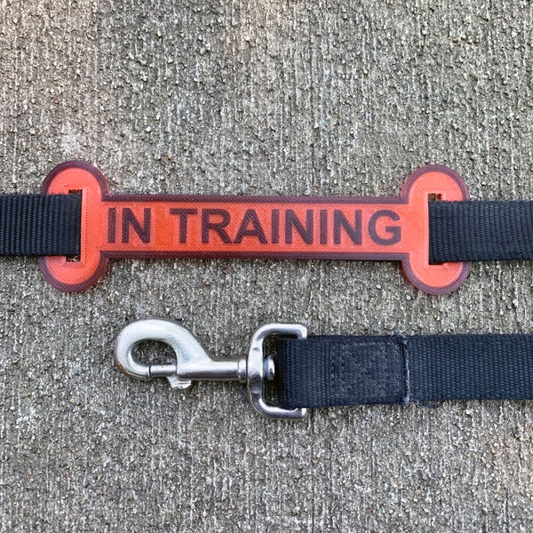 In Training Leash Sleeve, Leash Wrap, Personalized Dog Harness Sleeve, Dog Leash Tag, Dog Gifts for Dogs, Dog Owner Gift