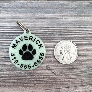 May include: A round, light green pet ID tag with a black paw print and the text "Maverick 419-555-5555" around the paw print. The tag is next to a US quarter for size comparison.