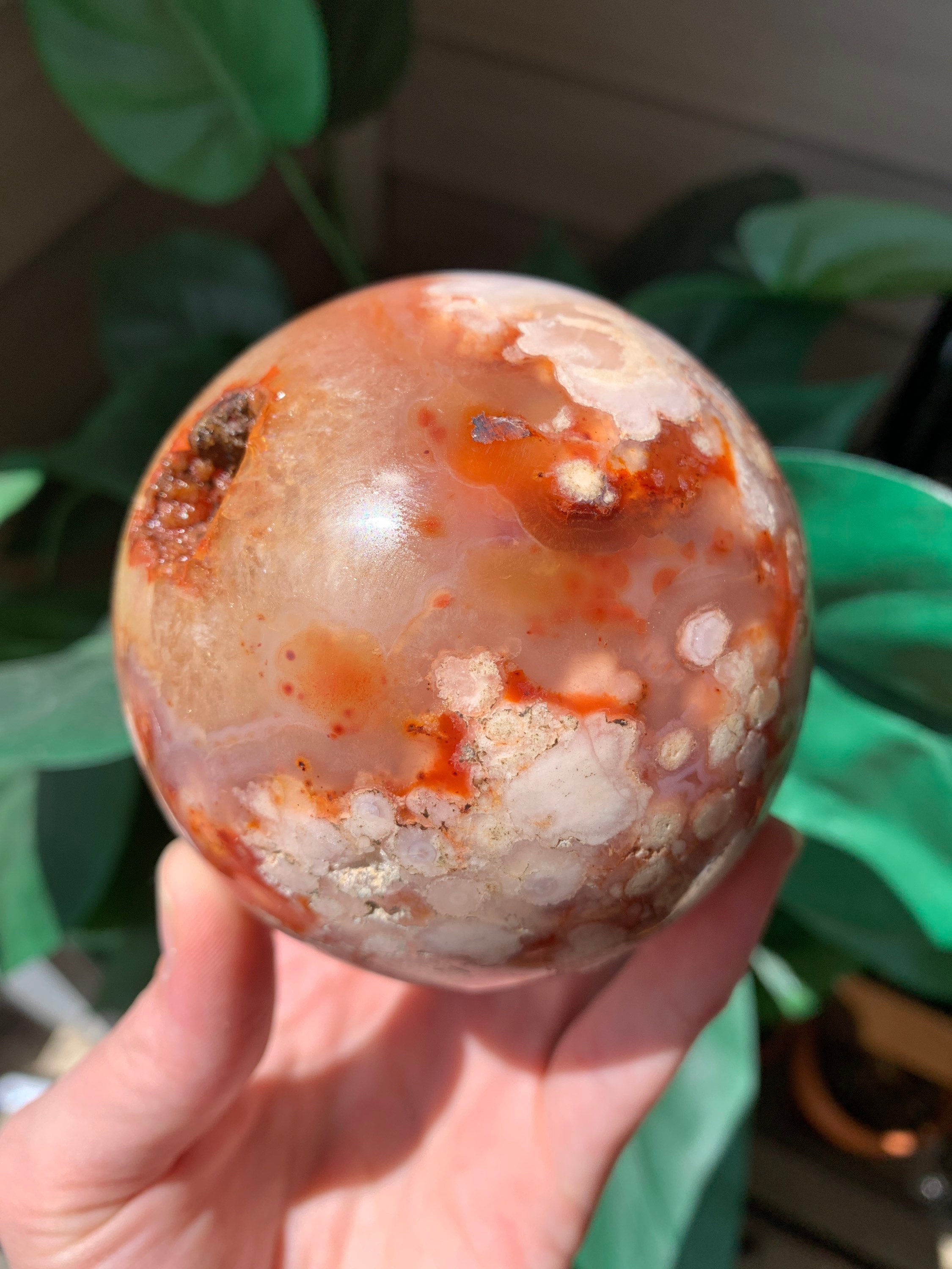 Rare Carnelian Flower Agate Etsy
