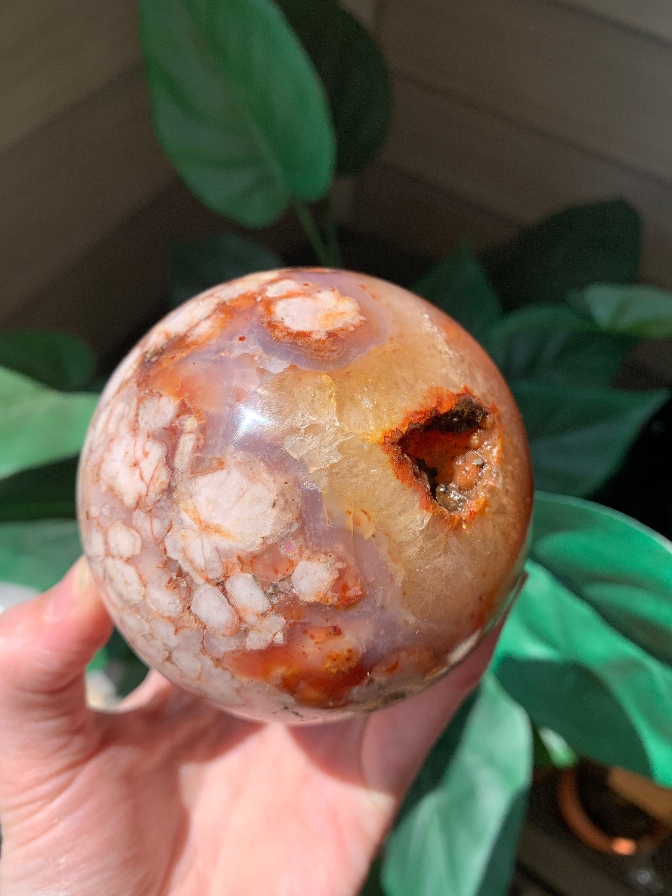 Rare Carnelian Flower Agate Etsy