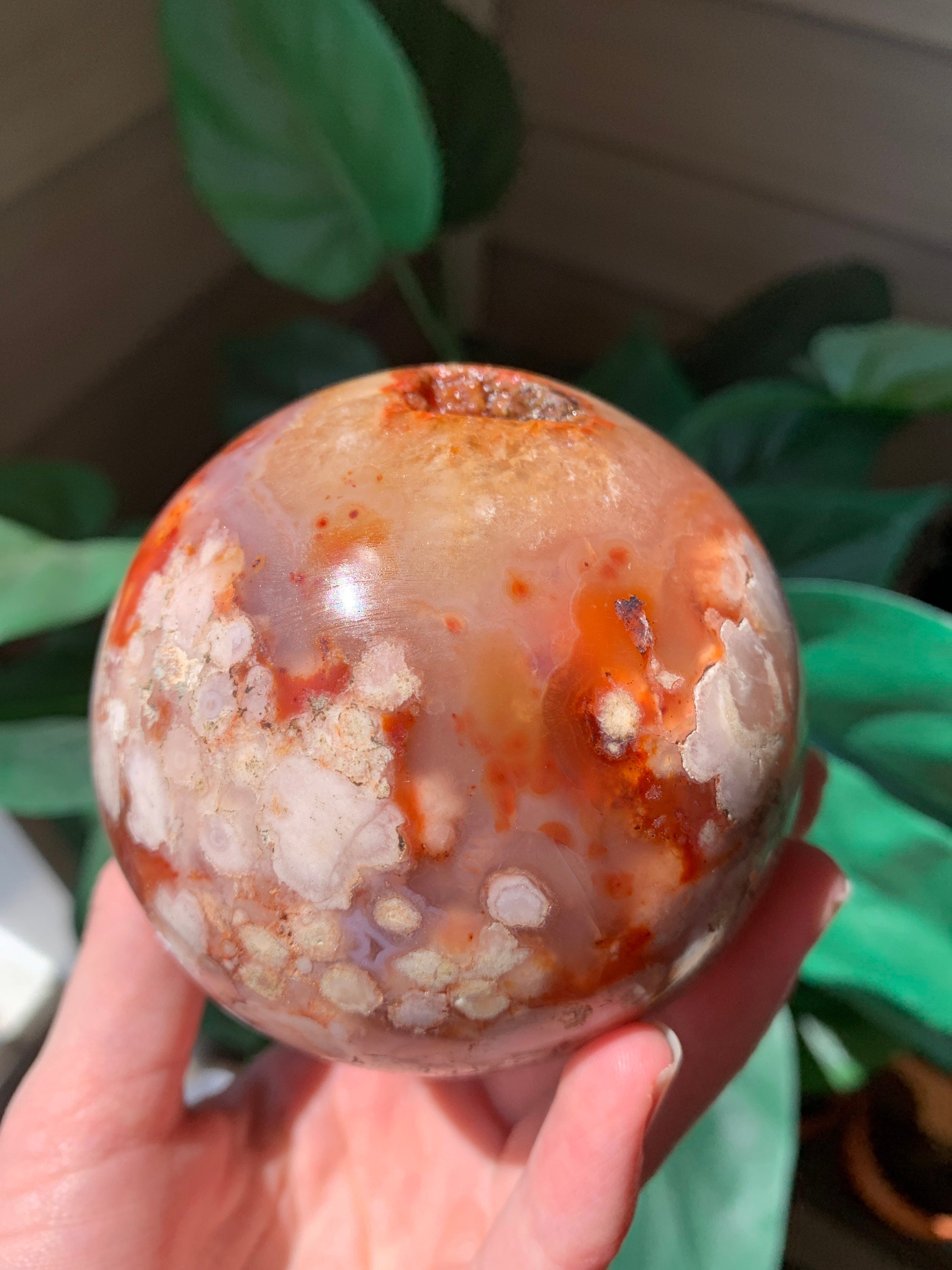 Rare Carnelian Flower Agate Etsy