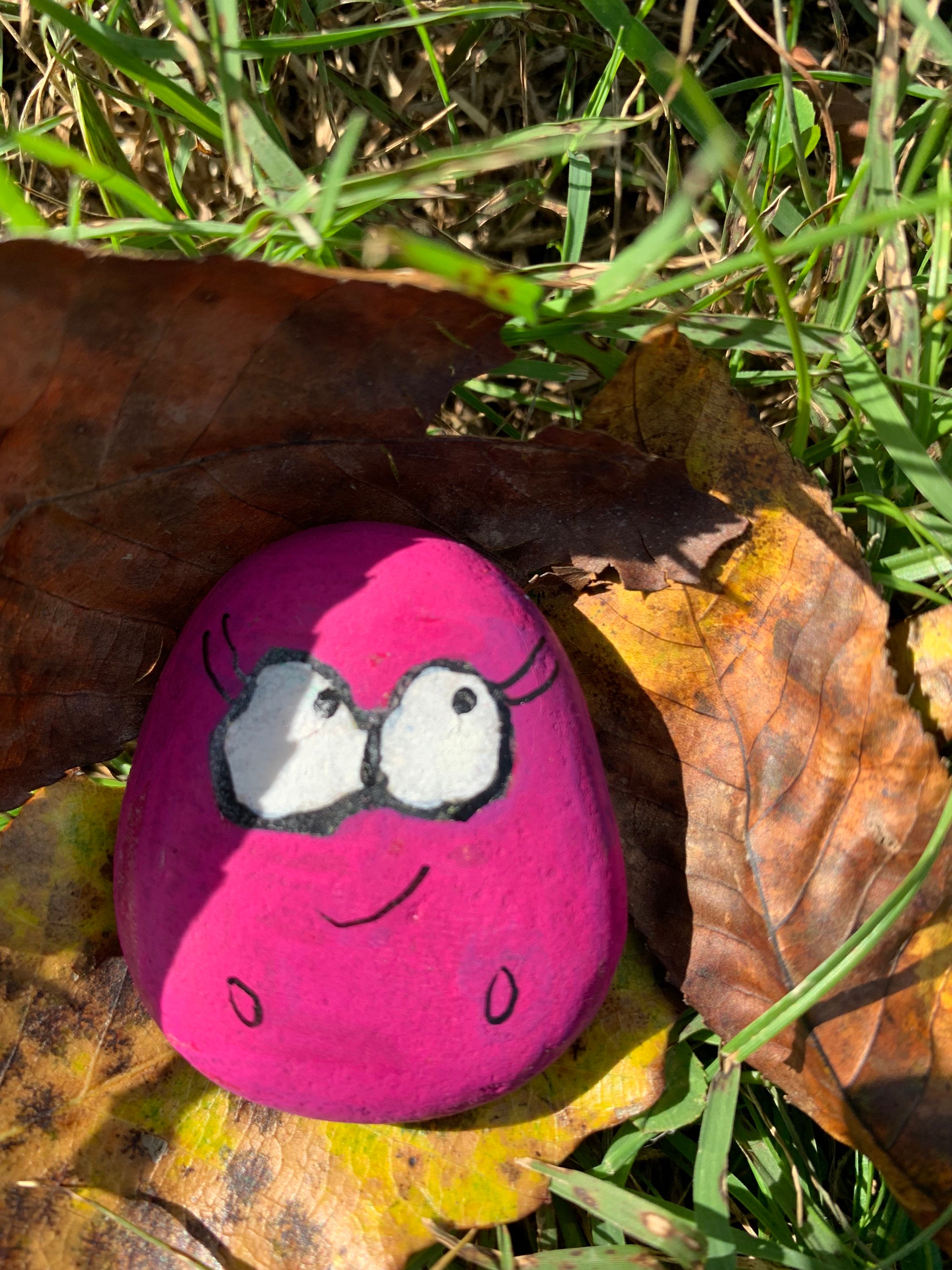 Amphibia Polly Planter Rock - Etsy