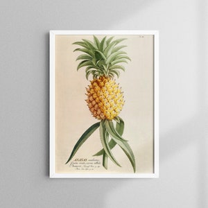 Vintage poster pineapple, pineapple print, vintage poster fruit, 13 x 18 cm to 50 x 70 cm, poster kitchen, artprintsisters