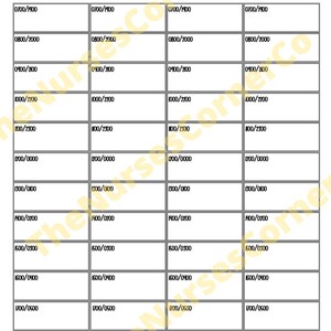 Nursing Report Sheet, Double Sided Nursing Report Sheet, 4 patient report sheet, hourly nursing to do list image 4