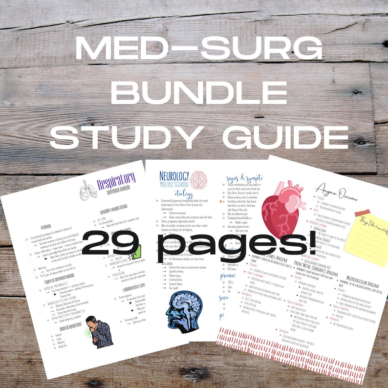 Med Surg Nursing School Bundle Study Guide BUNDLE Medical | Etsy
