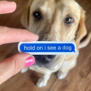 Hold On I See A Dog Sticker - Dog Lover Gift, dog text sticker, dog owner text decal