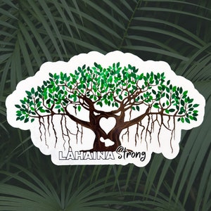 Etiqueta engomada de Lahaina, etiqueta engomada fuerte de Banyan Tree Lahaina, etiqueta engomada impermeable de Maui Lahaina Hawaii, etiqueta engomada de Maui banyan, regalo fuerte de Maui