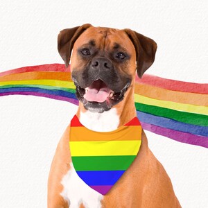 Pride Dog Bandana: Rainbow LGBTQ Pet Accessory