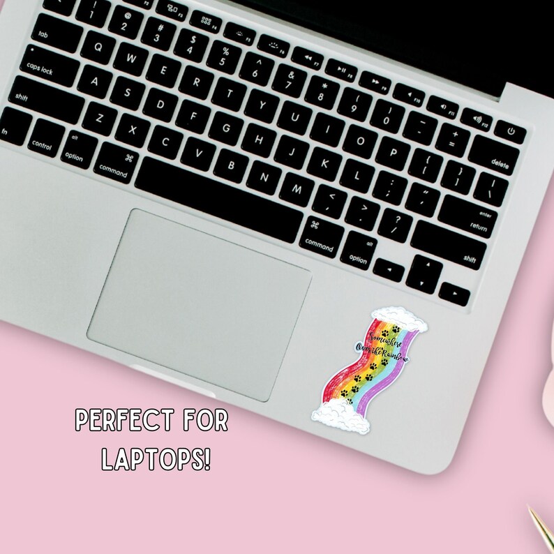 Rainbow Bridge Pet Memorial Sticker: Dog Cat Loss Sympathy Gift - Etsy