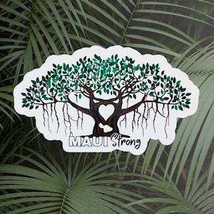 Etiqueta engomada de Maui Banyan Tree, calcomanía de etiqueta fuerte de Maui, etiqueta engomada impermeable de Maui Lahaina Hawaii, etiqueta engomada de Maui banyan, apoyo de fuego fuerte de Maui