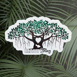 Maui Banyan Tree sticker, Maui strong sticker decal, Maui Lahaina Hawaii waterproof sticker, Maui banyan sticker, Maui strong fire support