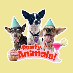 feeststicker, grappige hondenviering verjaardagscadeau voor vriend, chihuahua-hondsticker, beste vriend cadeau voor haar, feestbeest kleine hond cadeau