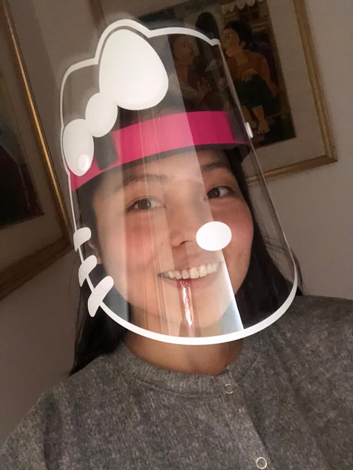 Cat Face Shield Kitty Face Shield Clear Face Shield Cute Etsy