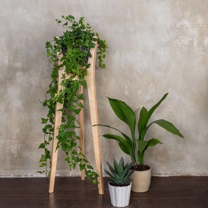 Wooden plant stand, Tall plant stand indoor from plywood, Mid century modern plant stand, Indoor plant stand from plywood, Small plant stand image 5