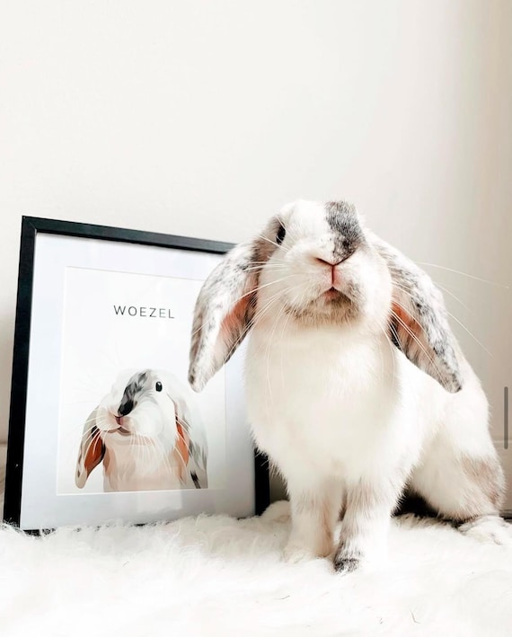 Custom Rabbit Portrait, Bunny Memorial Sign, Pet Lover Gift (Digital File)