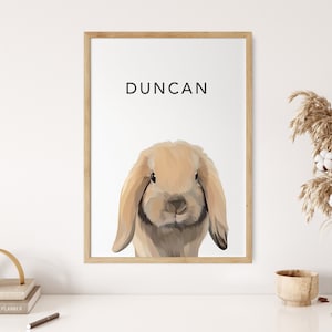 Op de afbeelding: Een digitale illustratie van een bruin en wit konijn met hangoren. Het konijn kijkt rechtstreeks naar de kijker. De tekst "Duncan" is boven het konijn gedrukt.