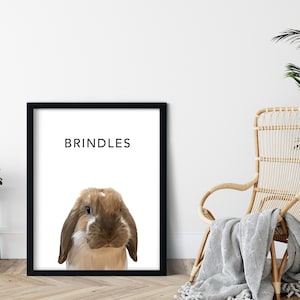 Op de afbeelding: Een zwart ingelijst afdruk met een witte achtergrond en het woord "BRINDLES" in zwarte tekst. Een bruin en wit konijn met hangoren is gecentreerd op de afdruk.