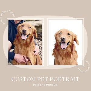 Op de afbeelding: Voor en na een aangepast huisdierportret van een golden retriever. De voor-afbeelding toont de hond op een echte foto, en de na-afbeelding toont een digitale illustratie van de hond.