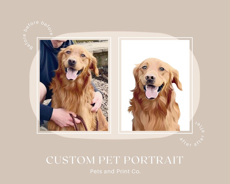 Op de afbeelding: Voor en na een aangepast huisdierportret van een golden retriever. De voor-afbeelding toont de hond op een echte foto, en de na-afbeelding toont een digitale illustratie van de hond.