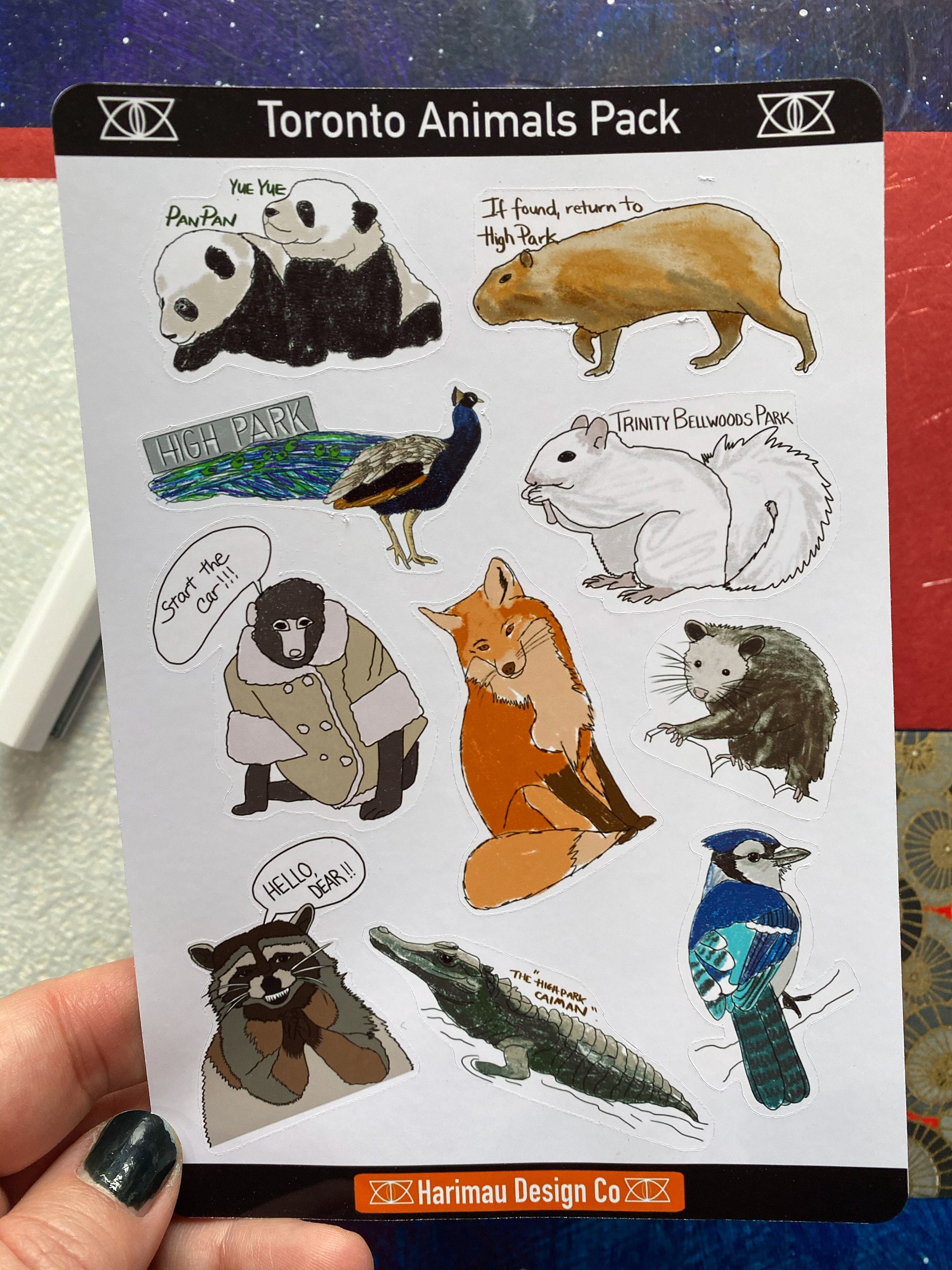 Toronto Animal Stickers Notebook Stickers Laptop Stickers Planner