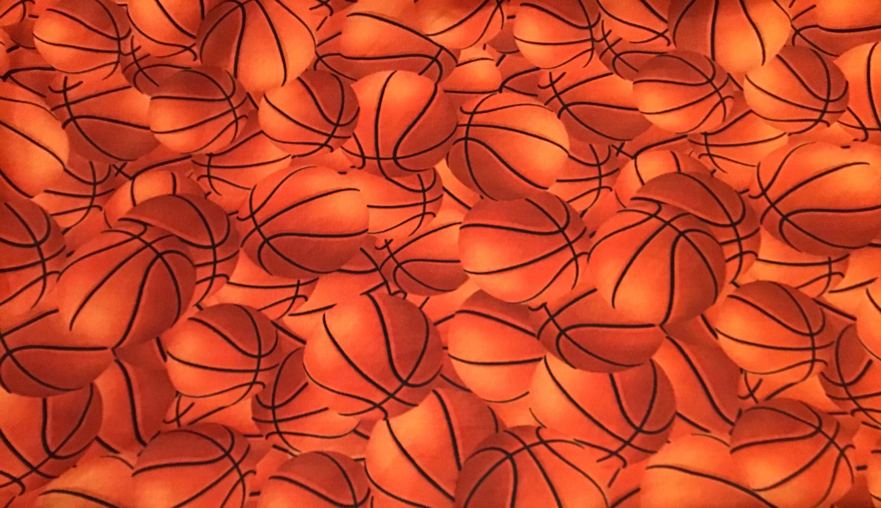 Lebron james cotton fabric Clearance