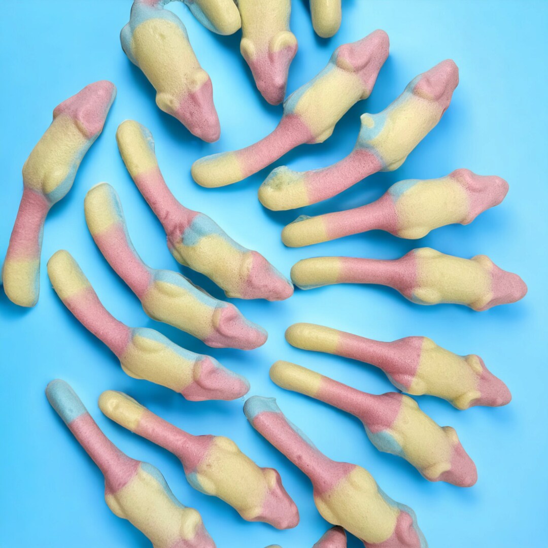 Freeze Dried Candy Mice - Etsy