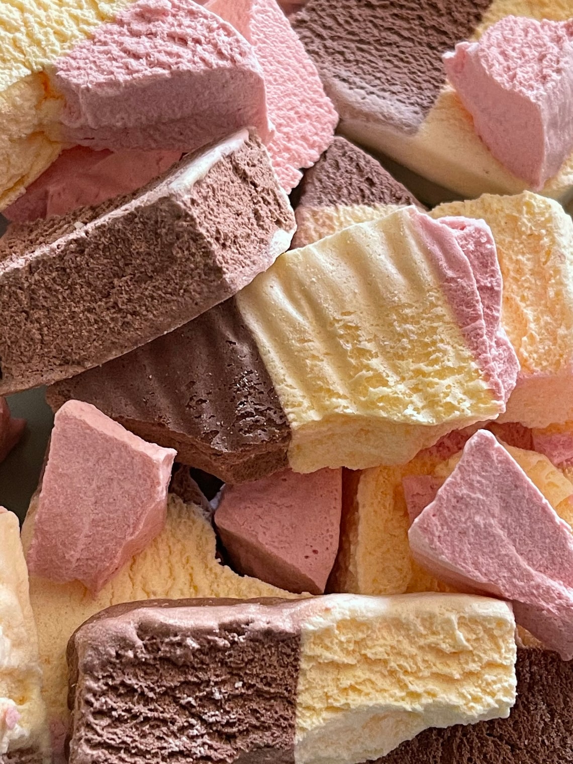 Freeze Dried Ice Cream Astronaut Space Food Neapolitan Flavour Etsy