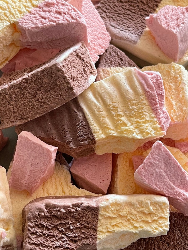 freeze dried astronaut food freeze dried astronaut food