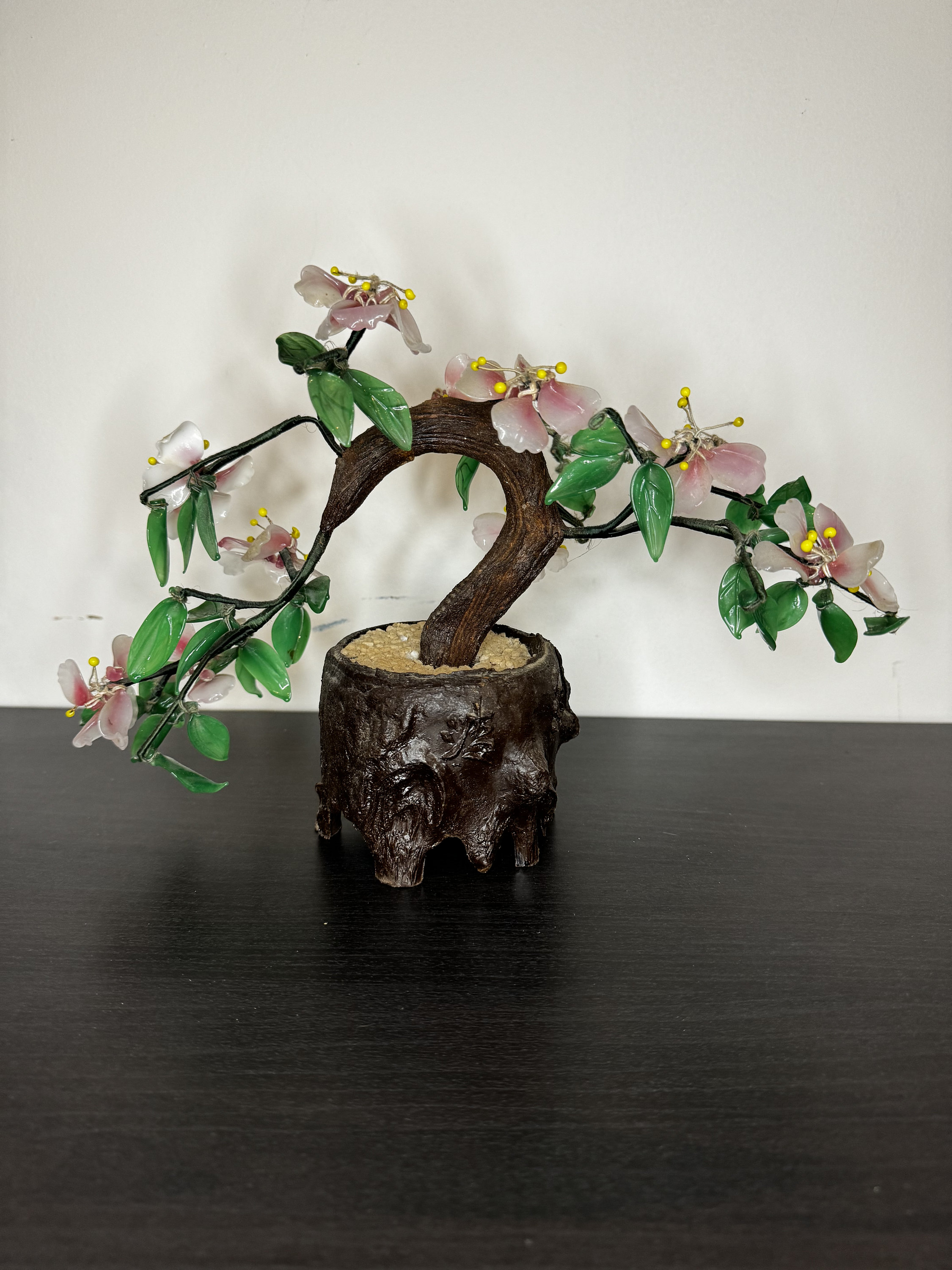 dracaena plants pictures Kiwi Dragon Tree  Dracaena kiwi Cane 10" Pot / Self Watering / With Pot