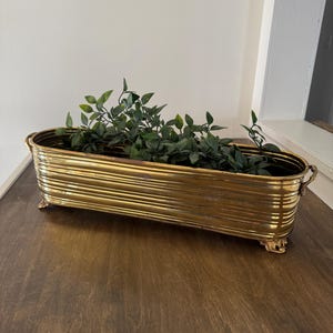 Op de afbeelding: Een goudkleurige, rechthoekige plantenbak met een geribbeld ontwerp en decoratieve voetjes. De plantenbak is gevuld met groene bladplanten. De plantenbak staat op een donkerbruin houten oppervlak.