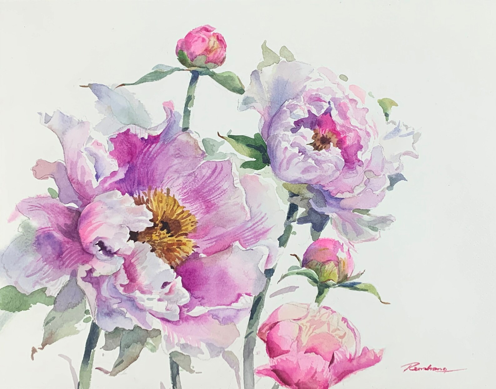 Peony Flowers Original Art Watercolor Painting Flower Etsy