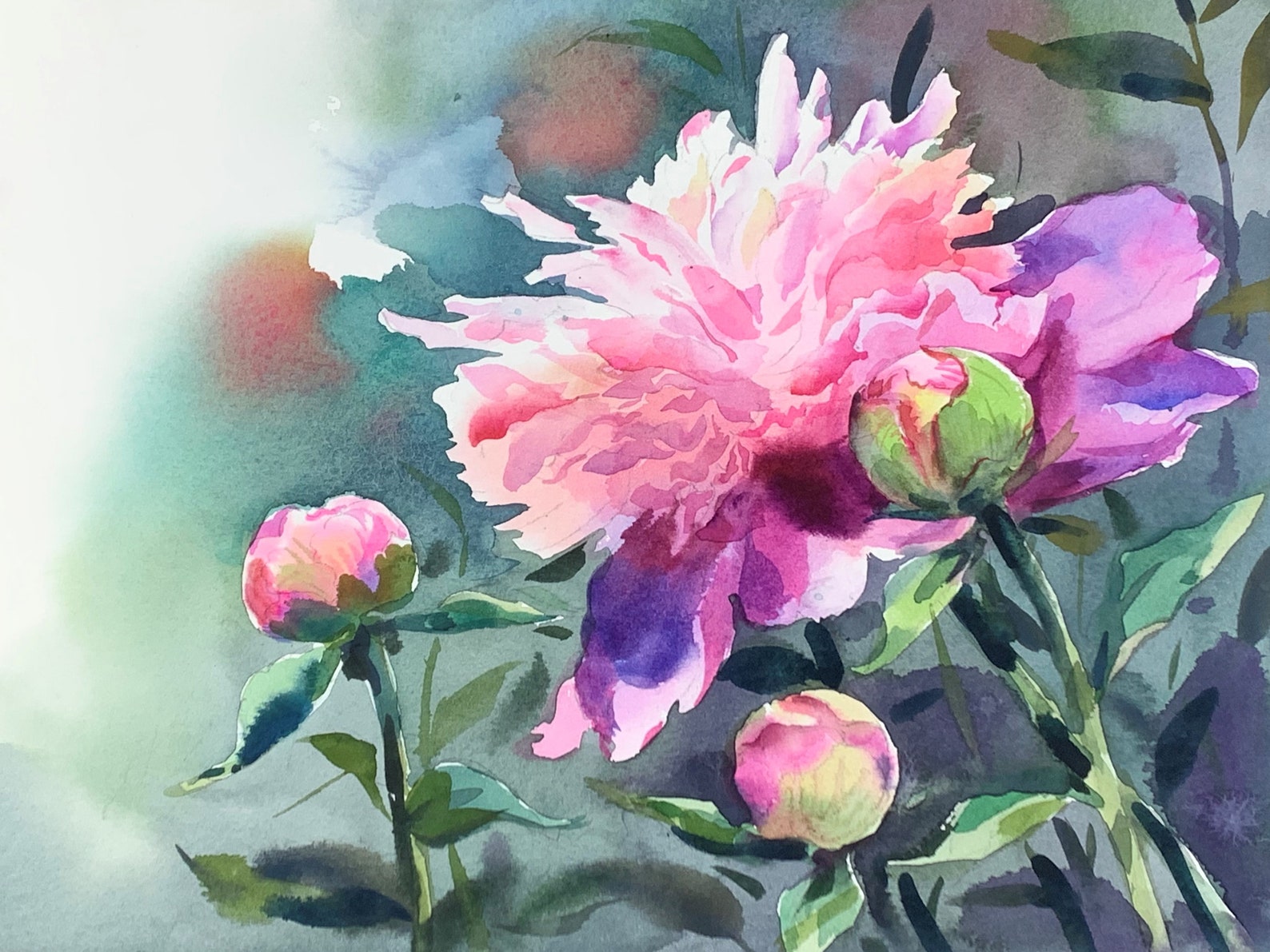 Peony Flowers Original Art Watercolor Painting Flower Etsy