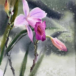 Orchid Flowers Original Art Watercolor Painting Home Decor Gift Artwork | NOT A PRINT