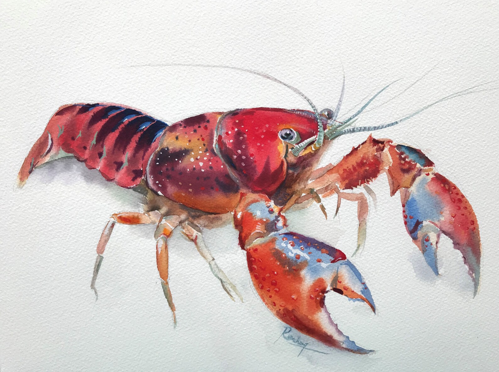 Lobster original watercolor painting crustacean ocean | Etsy