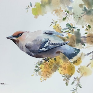 Cedar Waxwing Bird Original Art Watercolor Painting Gift Artwork Home Decor