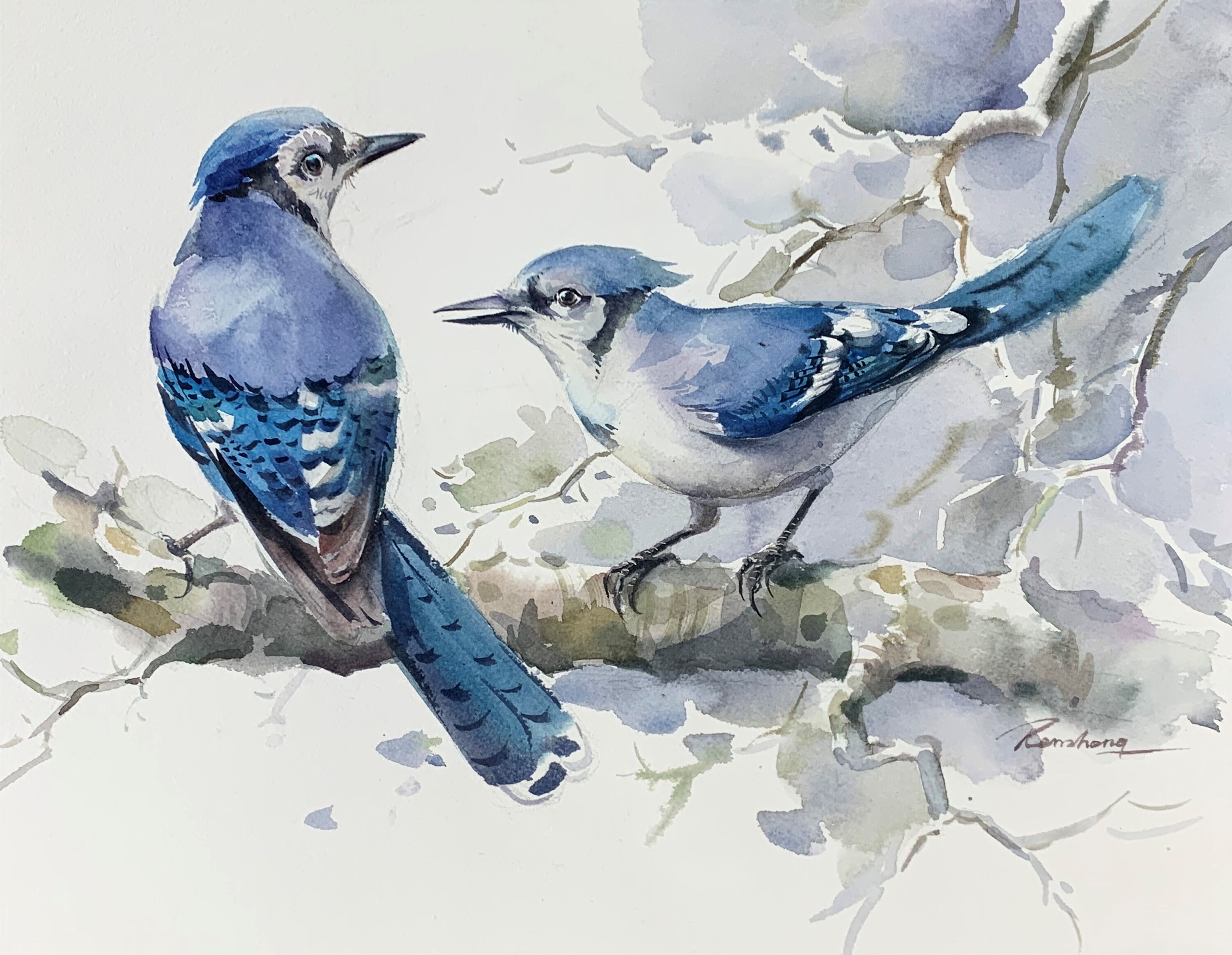 BLUE Jay Winter Watercolor Bird Art Print by Dean Crouser 
