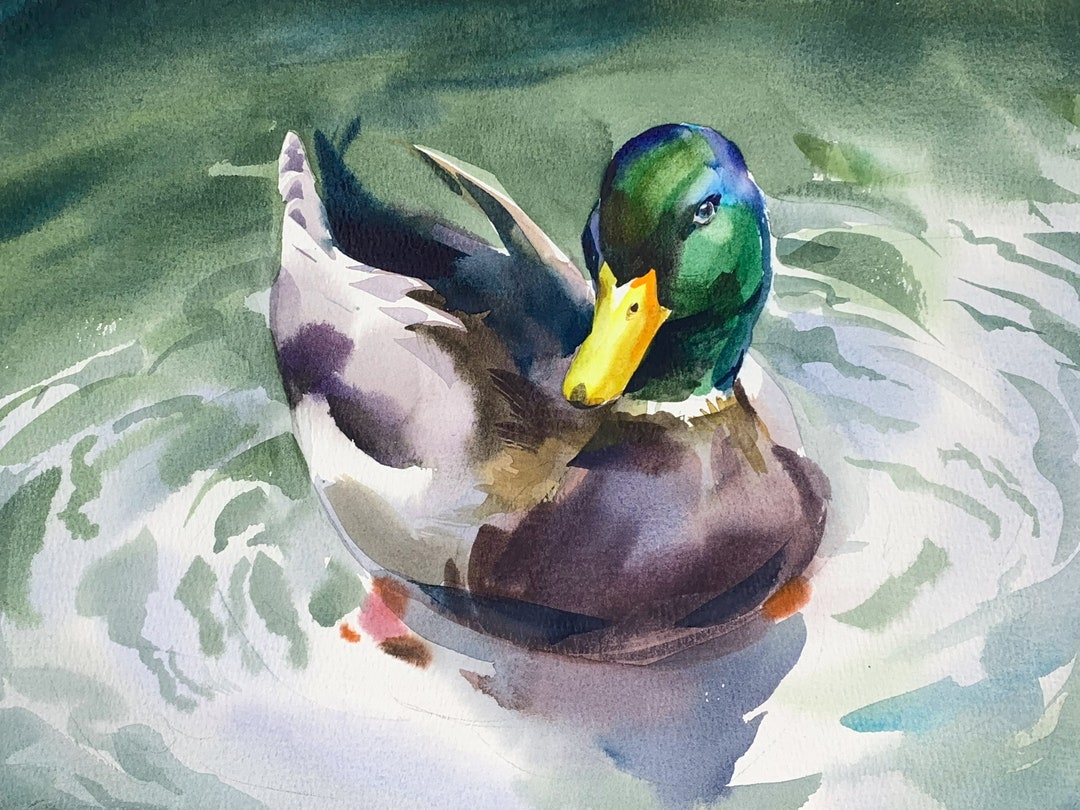 Mallard Duck Original Art Watercolor Painting Wildlife Etsy