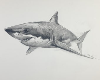 Shark | Sketch | Great White Shark | Gift Artwork | Home Décor | NOT A PRINT