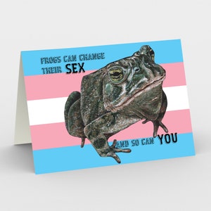 Carte de salutation de fierté, fierté trans, célébration de mois de fierté transgenre, carte de voeux de grenouille stationnaire, droits queer, lgbtqia, lgbt