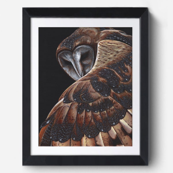 Barn Owl Print, acrylic painting of peeking barn owl print, labyrinth owl, flying owl, bird of prey, hunting bird, sitting bird, seated owls