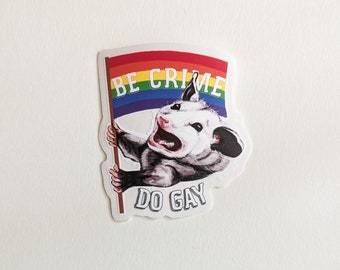 Possum Sticker, Be Gay Do Crimes, Be Crime Do Gay pride, bumper laptop decal heatproof trash queer LGBTQ, LGBTQIA+, lesbian, trans, bisexual
