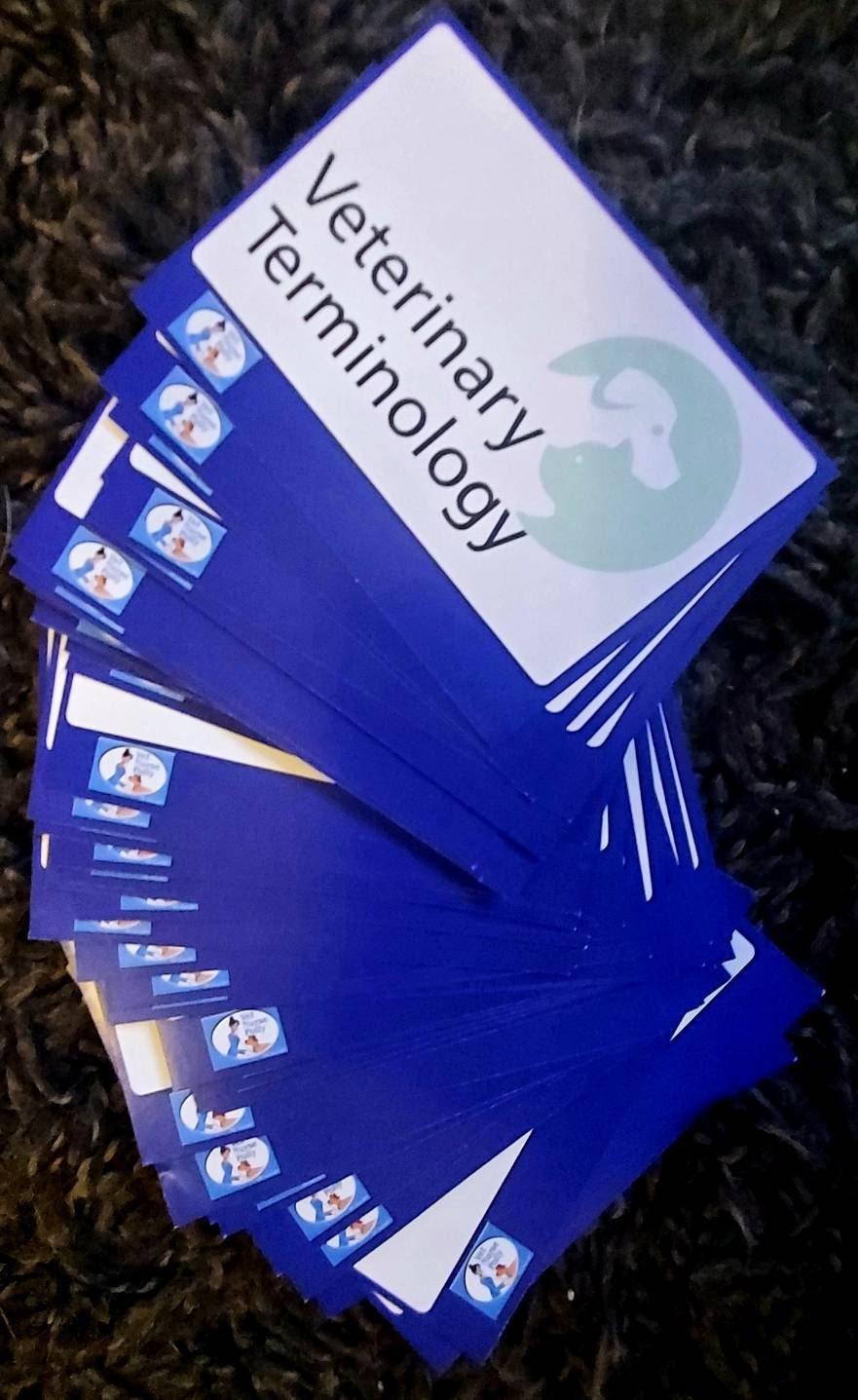 Veterinary Nursing Flash Cards Full Set of 11 & Free Pocket Guide Etsy UK